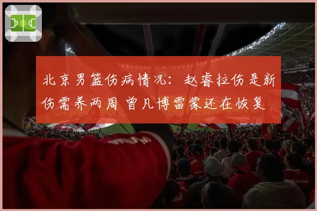 北京男篮伤病情况:赵睿拉伤是新伤需养两周 曾凡博雷蒙还在恢复