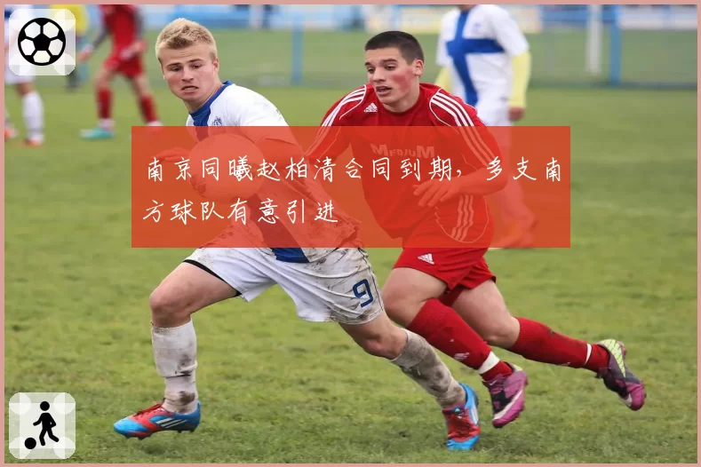 南京同曦赵柏清合同到期，多支南方球队有意引进