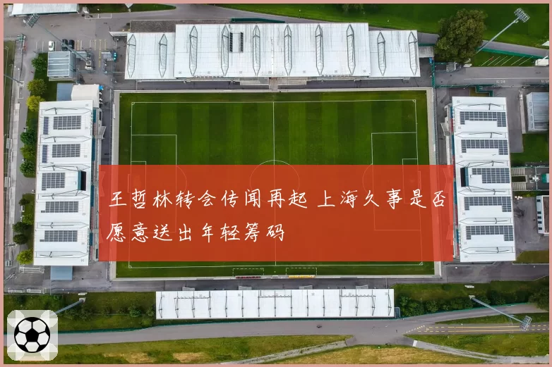 王哲林转会传闻再起 上海久事是否愿意送出年轻筹码
